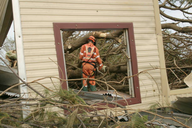 Best Fruit Tree Pruning  in Wells Branch, TX